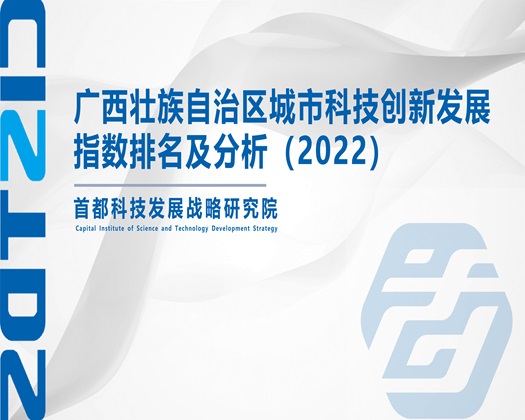 大鸡巴狂操美女骚逼应用【成果发布】广西壮族自治区城市科技创新发展指数排名及分析（2022）